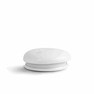 PEBBLE RØYKVARSEL 10 ÅR